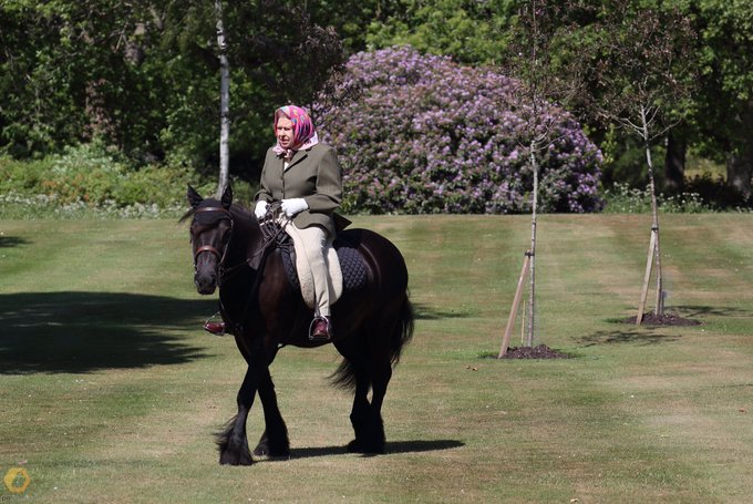 La 94 de ani, regina Marii Britanii a ieșit să călărească