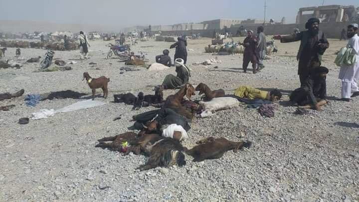 MĂCEL într-o piață de animale din Afganistan (VIDEO)! Zeci de civili au murit pe loc