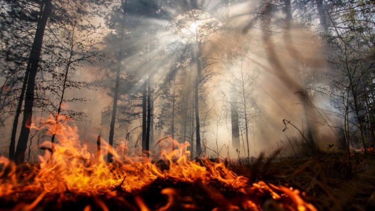 Columbia solicită ajutor internaţional pentru stingerea incendiilor forestiere