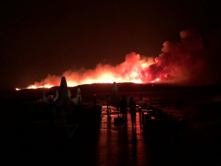 Turişti cuprinşi de panică, evacuaţi cu barca din apropierea unor incendii de pădure în staţiunea balneară Bodrum