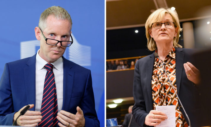 Irlanda îi propune pe Mairead McGuinness şi Andrew McDowell pentru funcţia de comisar european