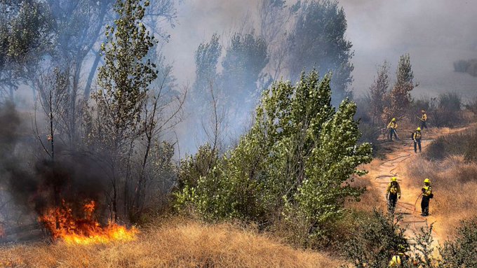 California SE TOPEȘTE sub un val neobișnuit de căldură! Guvernatorul impune stare de urgență și evacuări rapide din cauza incendiilor