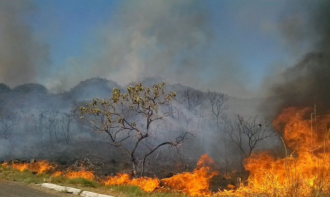Record lunar în februarie pentru emisiile de CO2 asociate incendiilor de pădure în Brazilia şi Venezuela (serviciul Copernicus)