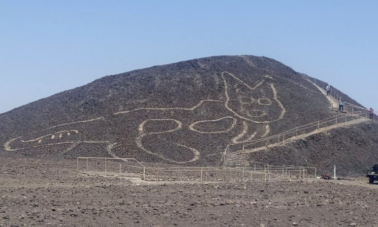 Geoglifa unei pisici gigantice a fost descoperită pe un deal din Peru