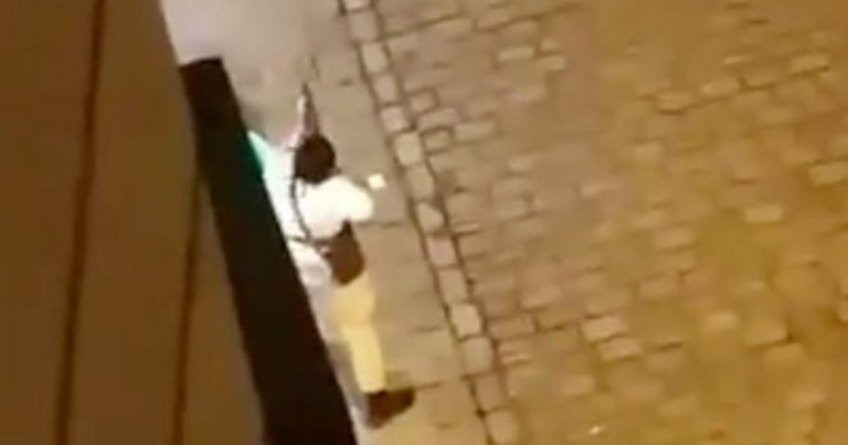 Un cetăţean german a fost ucis în atacul terorist din centrul oraşului Viena