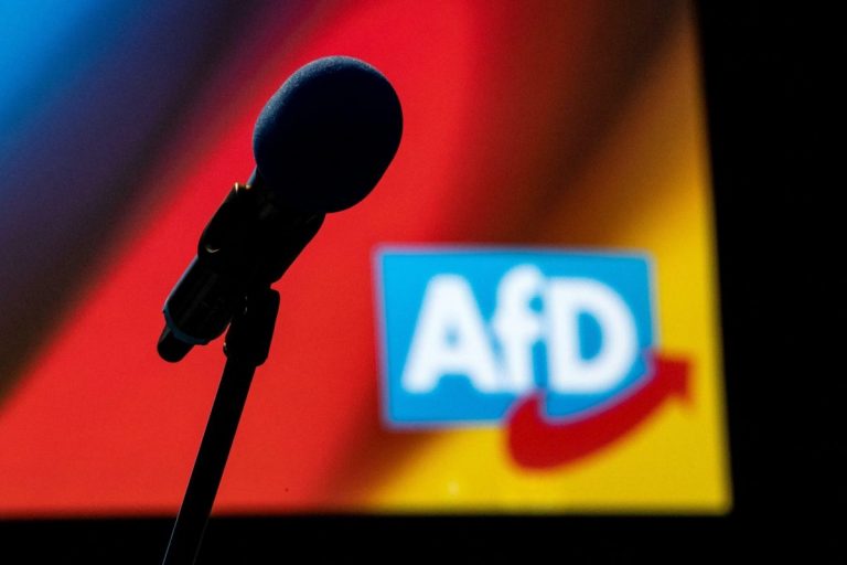 AfD îşi alege capii de listă pentru alegerile parlamentare din Germania