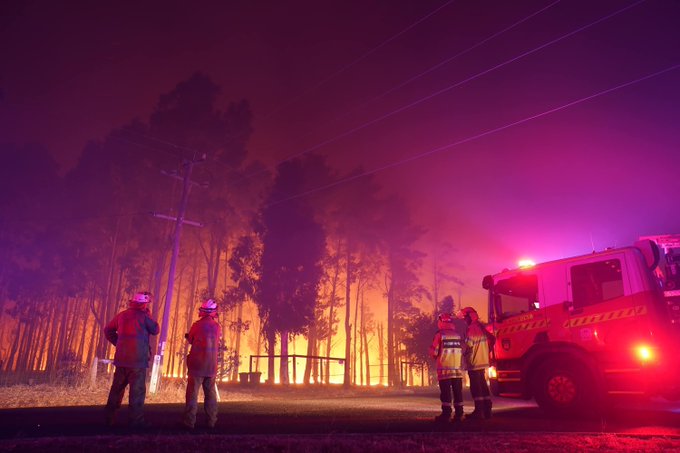 81 de case au fost mistuite de foc în Australia