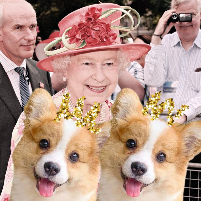 Ţara ‘ARDE’ şi regina ADOPTĂ doi câini de rasă: ‘Ei NU FUG în America să dea interviuri!’