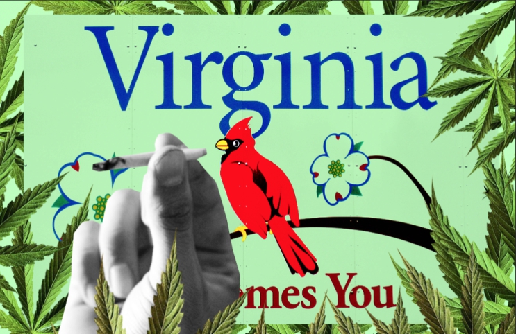 Virginia este primul stat american care LEGALIZEAZĂ marijuana