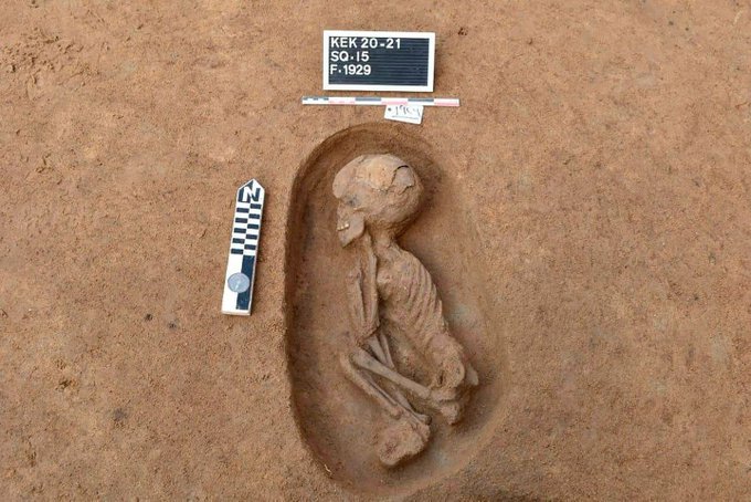 Arheologii din Egipt au descoperit zeci de morminte rare