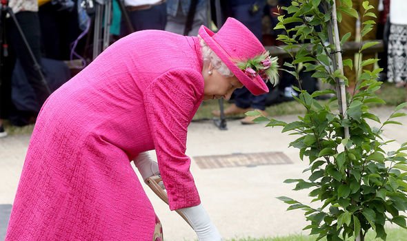 Supuşii Coroanei britanice sunt invitaţi să planteze copaci pentru jubileul de platină al reginei Elisabeta a II-a