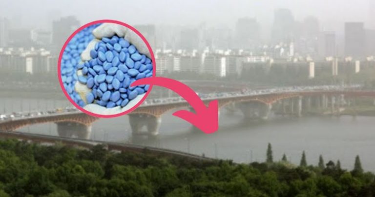 Gangnam style! Concentraţii ridicate de Viagra au fost găsite în apele uzate din Seul