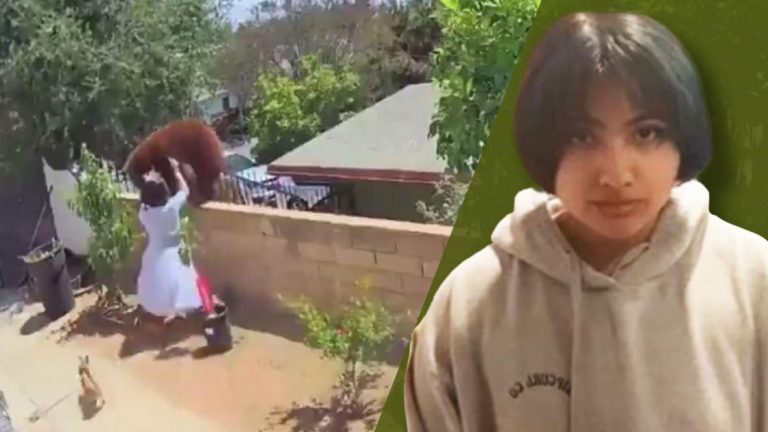 O adolescentă ‘s-a luat la trântă’ cu o ursoaică pentru a-şi apăra câinii din grădină – VIDEO
