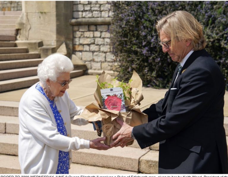 Regina Elisabeta a II-a a primit un trandafir numit după după regretatul ei soţ, prinţul Philip