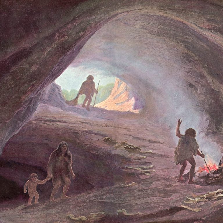 Denisovani, neanderthalieni și Homo sapiens, trei specii, trei ADN-uri și o singură peșteră