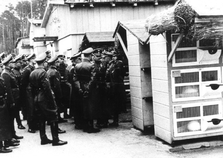 Un fost gardian nazist este judecat în Germania