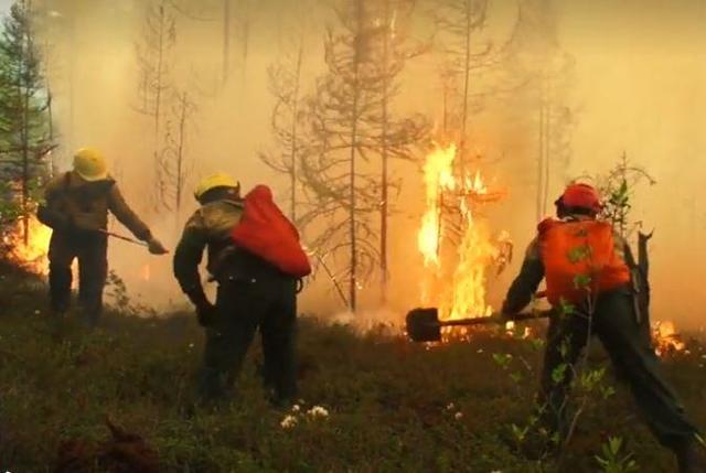Incendii forestiere ‘extreme’ fac ravagii în unele regiuni din centrul Rusiei