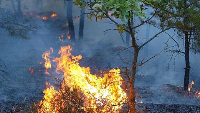 Macedonia de Nord declară stare de criză din cauza incendiilor de pădure