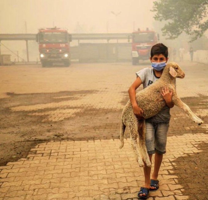 Pompierii turci se luptă cu un incendiu de pădure izbucnit în sudul ţării