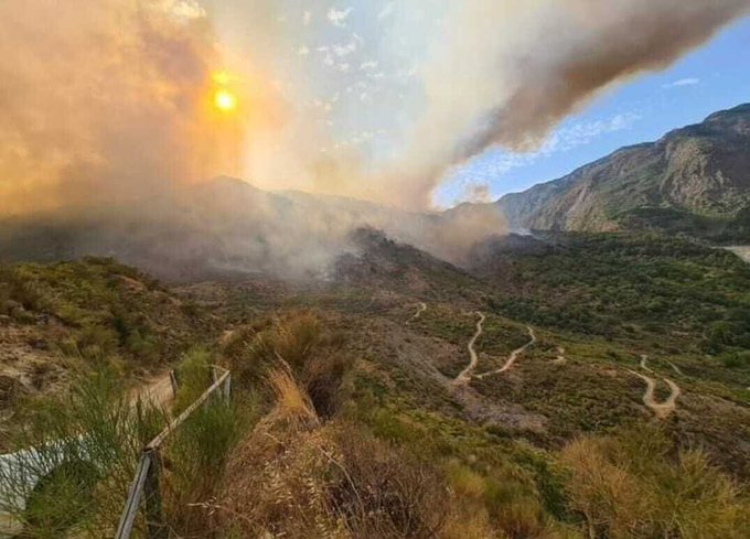 Italia, SUFOCATĂ de caniculă! Incendiile din sudul țării rămân active (VIDEO)