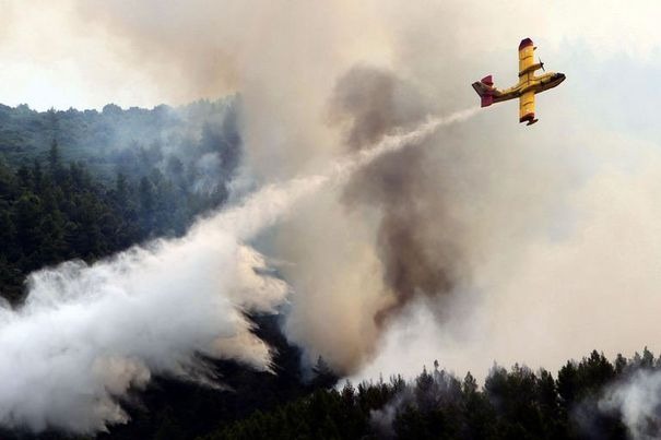 Principalele incendii de pădure din Maroc, în curs de a fi aduse sub control