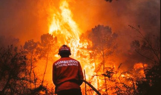 Un incendiu de vegetaţie PÂRJOLEŞTE sudul Portugaliei (VIDEO)