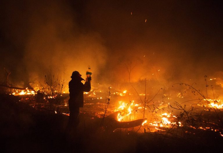 Bolivia este devastată de incendiile de vegetaţie