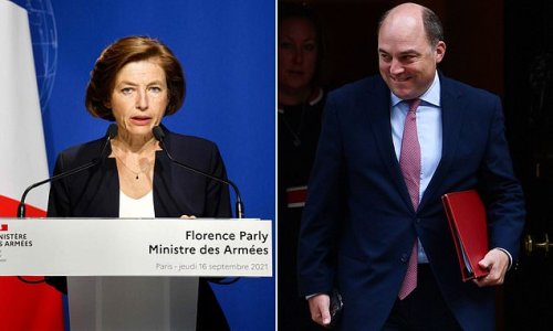 Miniştrii apărării din Franţa şi UK şi-au anulat întâlnirea