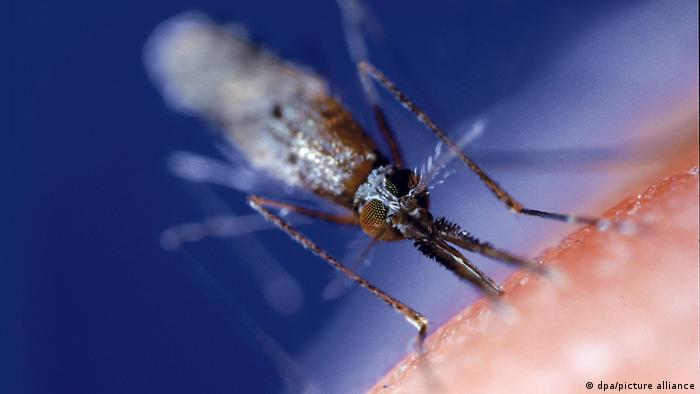 Este Africa pregătită să producă un vaccin împotriva malariei?