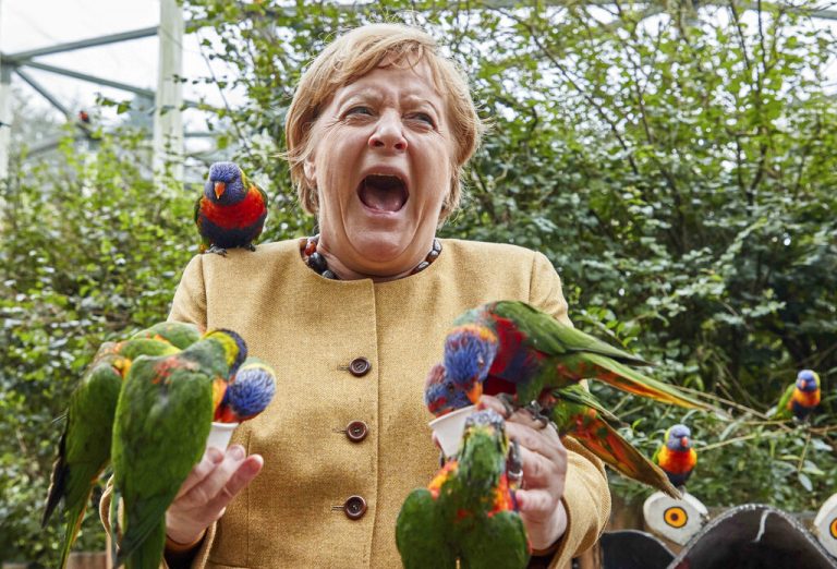 Înainte de alegerile din Germania, Merkel a fost să se joace cu papagalii