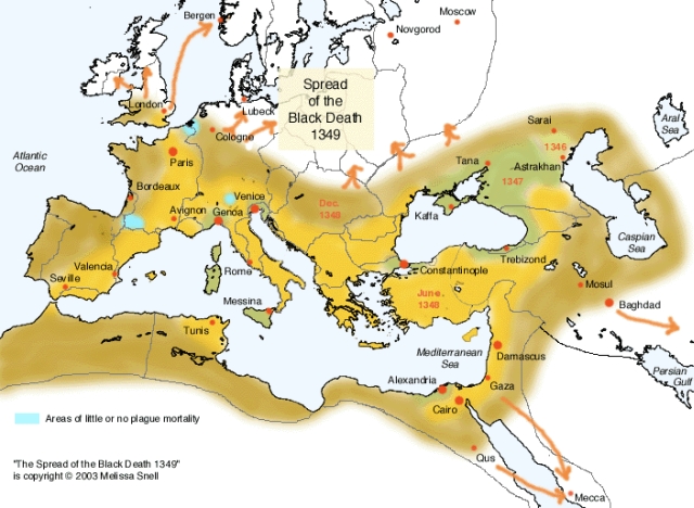 Cum a pătruns Moartea Neagră în Europa, în urmă cu aproape 5000 de ani
