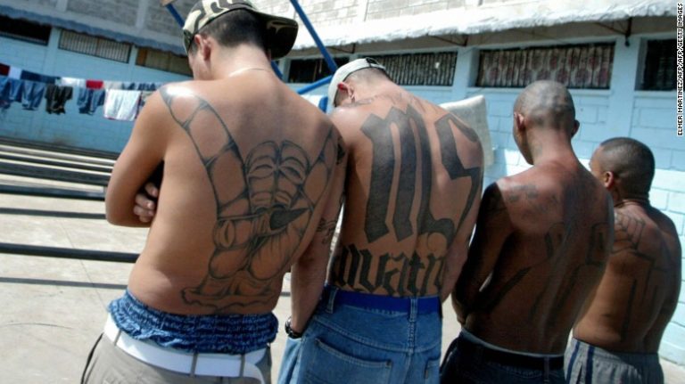 MS-13 a înjunghiat de peste 100 de ori şi a decapitat un bărbat lângă Washington