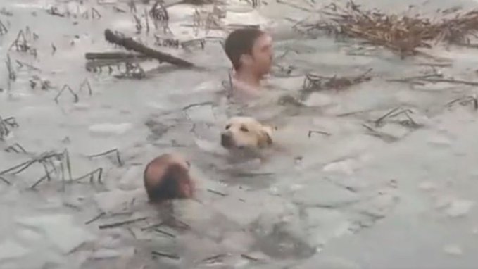Doi poliţişti spanioli au intrat în apa îngheţată pentru a salva un câine – VIDEO