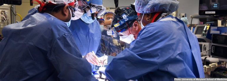 Un american a primit prin transplant o inimă de porc