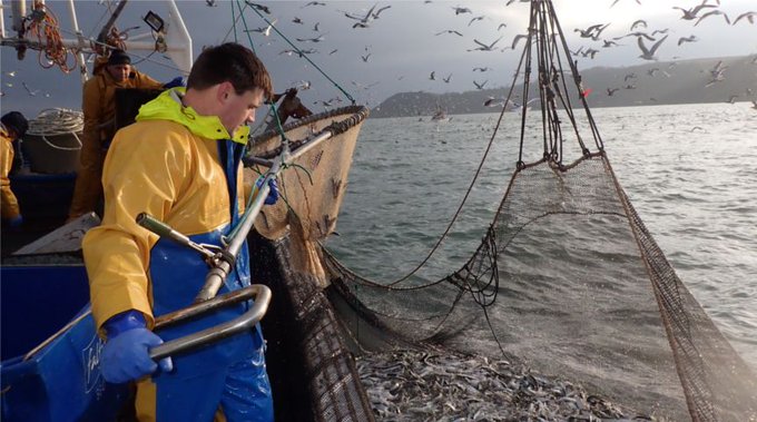 Disputa franco-britanică privind pescuitul este aproape rezolvată