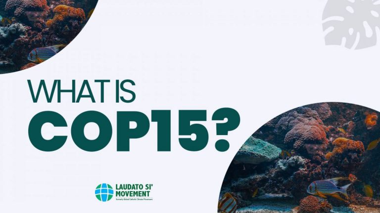 ONU mută summitul COP15 din China