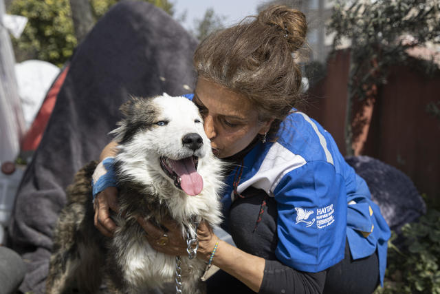 Un câine a fost scos de sub dărâmături în Antakya, la 23 de zile după cutremur