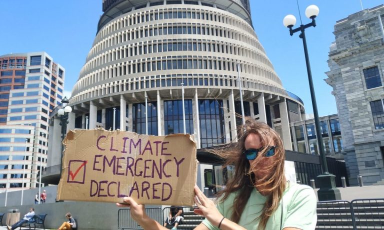 Elevi din Noua Zeelandă lansează o acţiune de protest la nivel global împotriva schimbărilor climatice