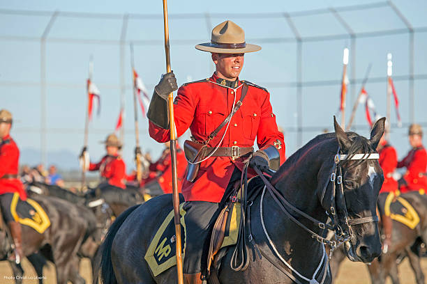 Poliţia canadiană investighează moartea a 17 cai sălbatici