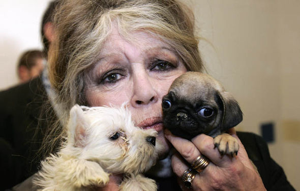 Brigitte Bardot va publica o carte-testament, un ‘bilant’ al luptei sale pentru drepturile animalelor