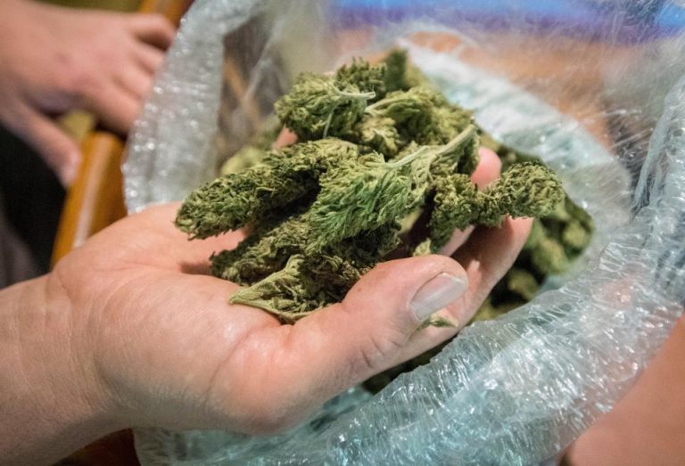 Zeci de kilograme de marijuana au fost găsite la Etulia