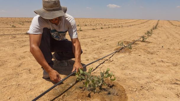 Rezervele de apă ale Israelului au ajuns la un nivel îngrijorător