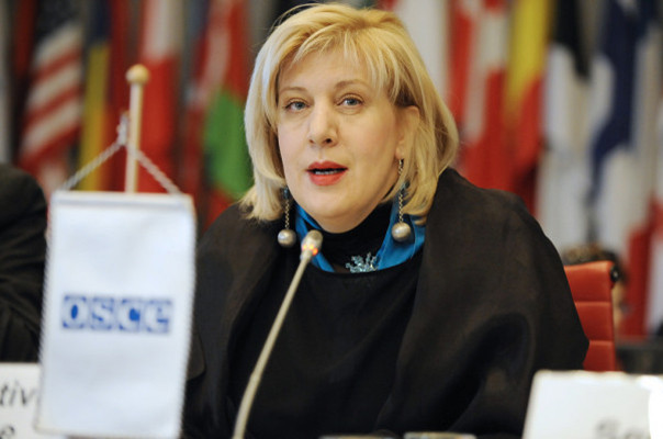 ‘Vestele Galbene’: Comisarul european pentru drepturile omului are întrevederi cu reprezentanţii guvernului, sindicatelor şi ONG-urilor
