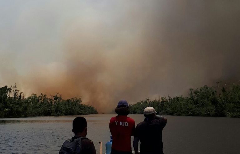 Nicaragua cere ajutor Rusiei pentru stingerea unui imens incendiu de vegetaţie – VIDEO