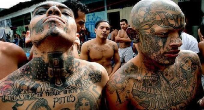 Peste 9.000 de presupuşi membri ai grupărilor criminale arestaţi în El Salvador