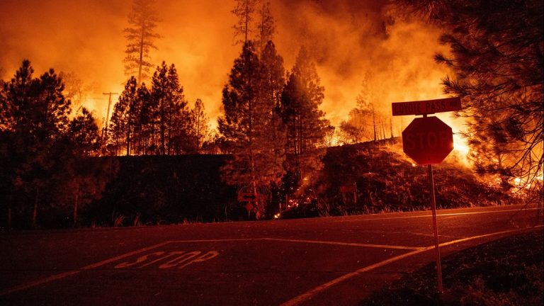 Risc ridicat de incendii în California – aproximativ 800.000 de locuinţe, private de electricitate