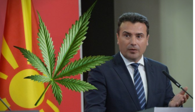 Premierul Macedoniei de Nord vrea legalizarea marijuanei