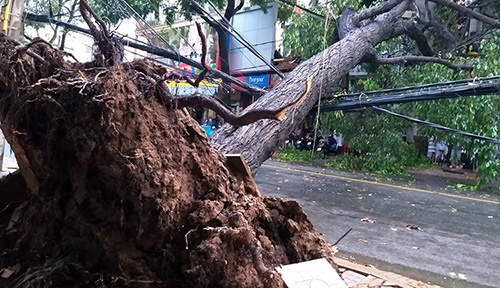 Furtuna Toraji face ravagii în Vietnam. Cel puţin 12 oameni au murit