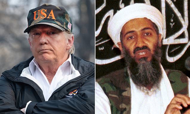 trump, osama