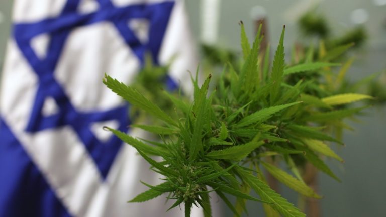 Israelul aprobă definitiv exportul de canabis medicinal